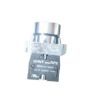 CHINT Push Button  NP2-BA61